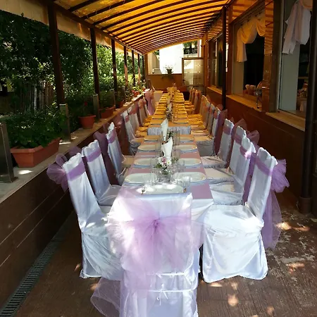 Elate Plaza 3*