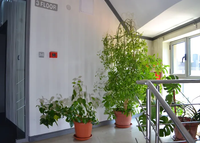 Elate Plaza 酒店 索菲亞